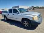 2007 DODGE Dakota