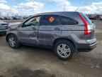 2010 HONDA CR-V