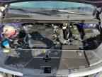 2024 KIA Carnival
