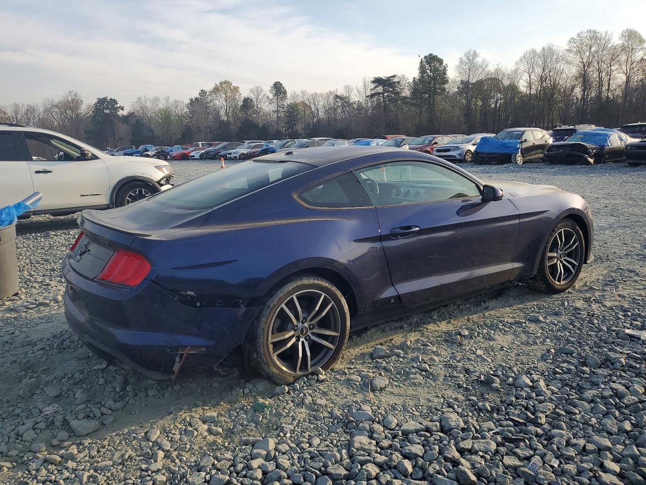 2019 FORD MUSTANG