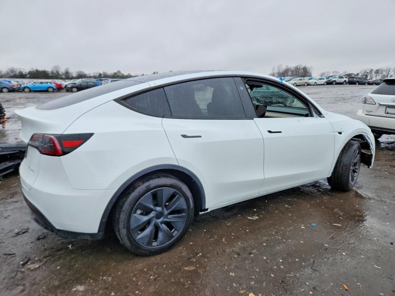 2024 TESLA MODEL Y