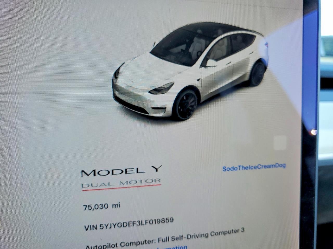 2020 TESLA MODEL Y