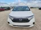 2024 HONDA ODYSSEY
