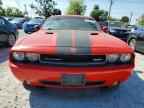 2010 DODGE Challenger