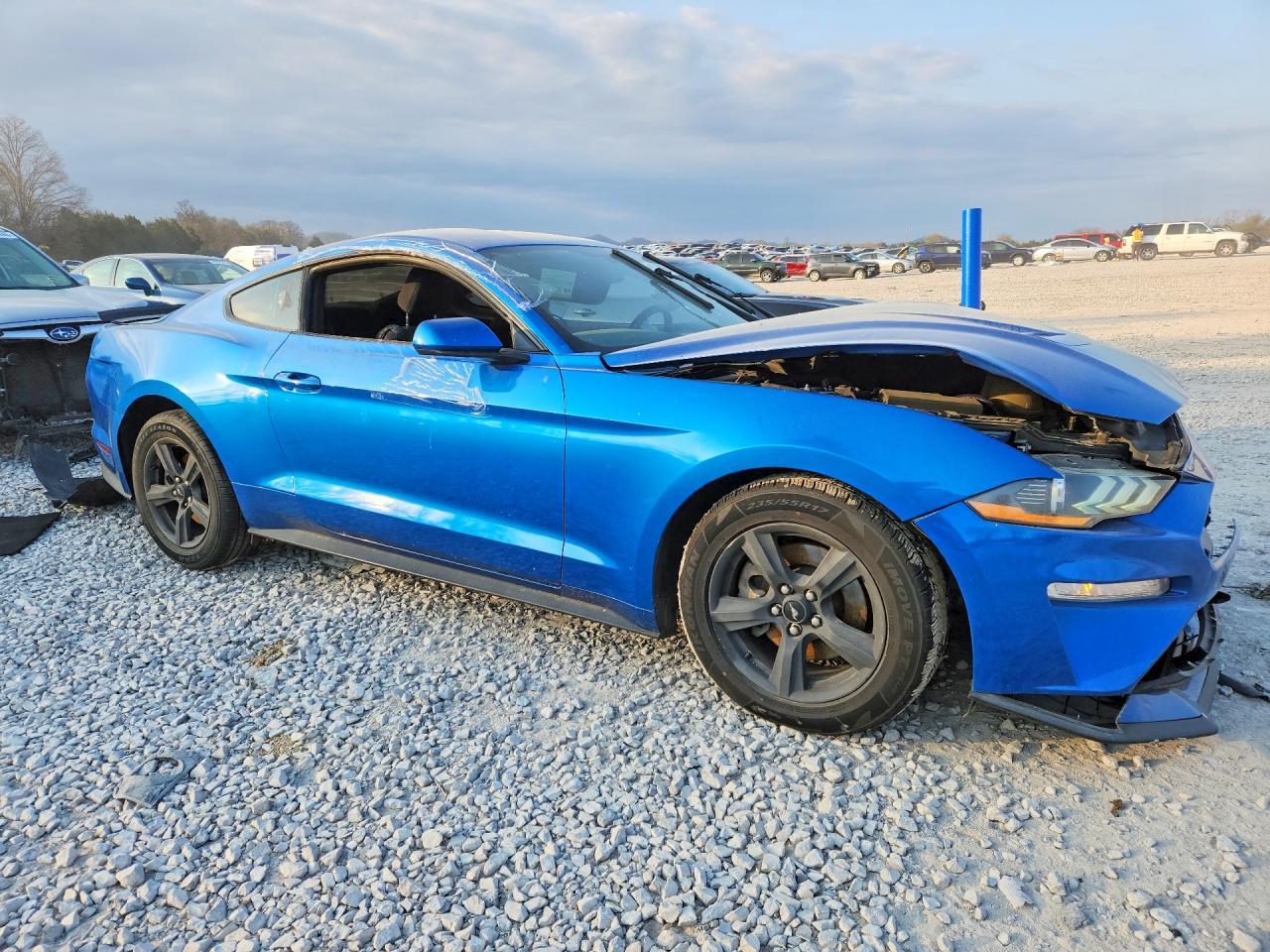 2019 FORD MUSTANG