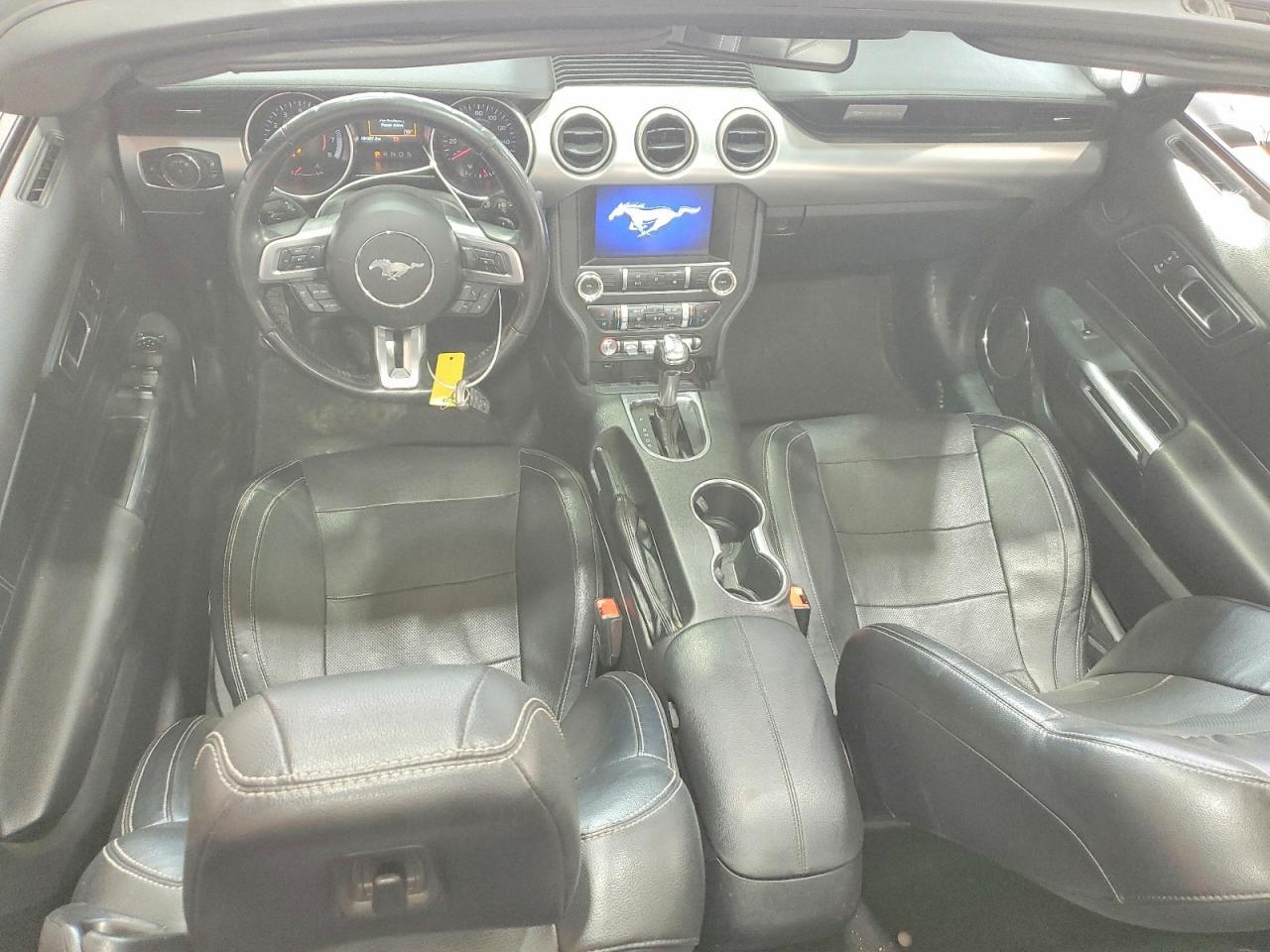 2019 FORD MUSTANG