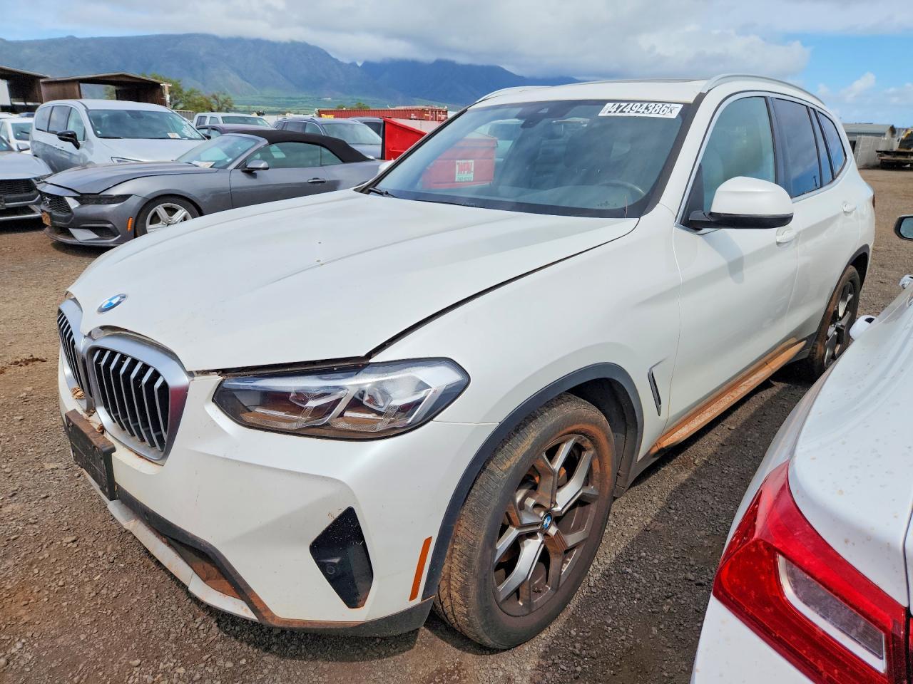 2024 BMW X3
