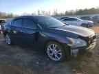 2013 NISSAN Maxima