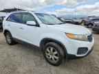 2013 KIA SORENTO