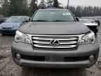 2010 LEXUS Gx
