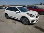 2021 KIA Niro