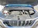 2024 KIA Carnival