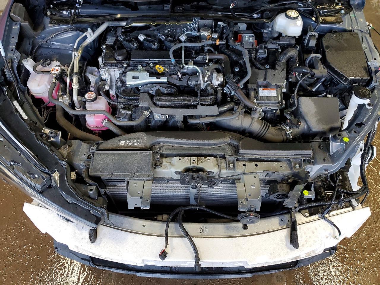 2025 TOYOTA PRIUS