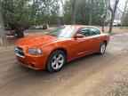 2011 DODGE CHARGER
