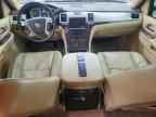 2010 CADILLAC ESCALADE