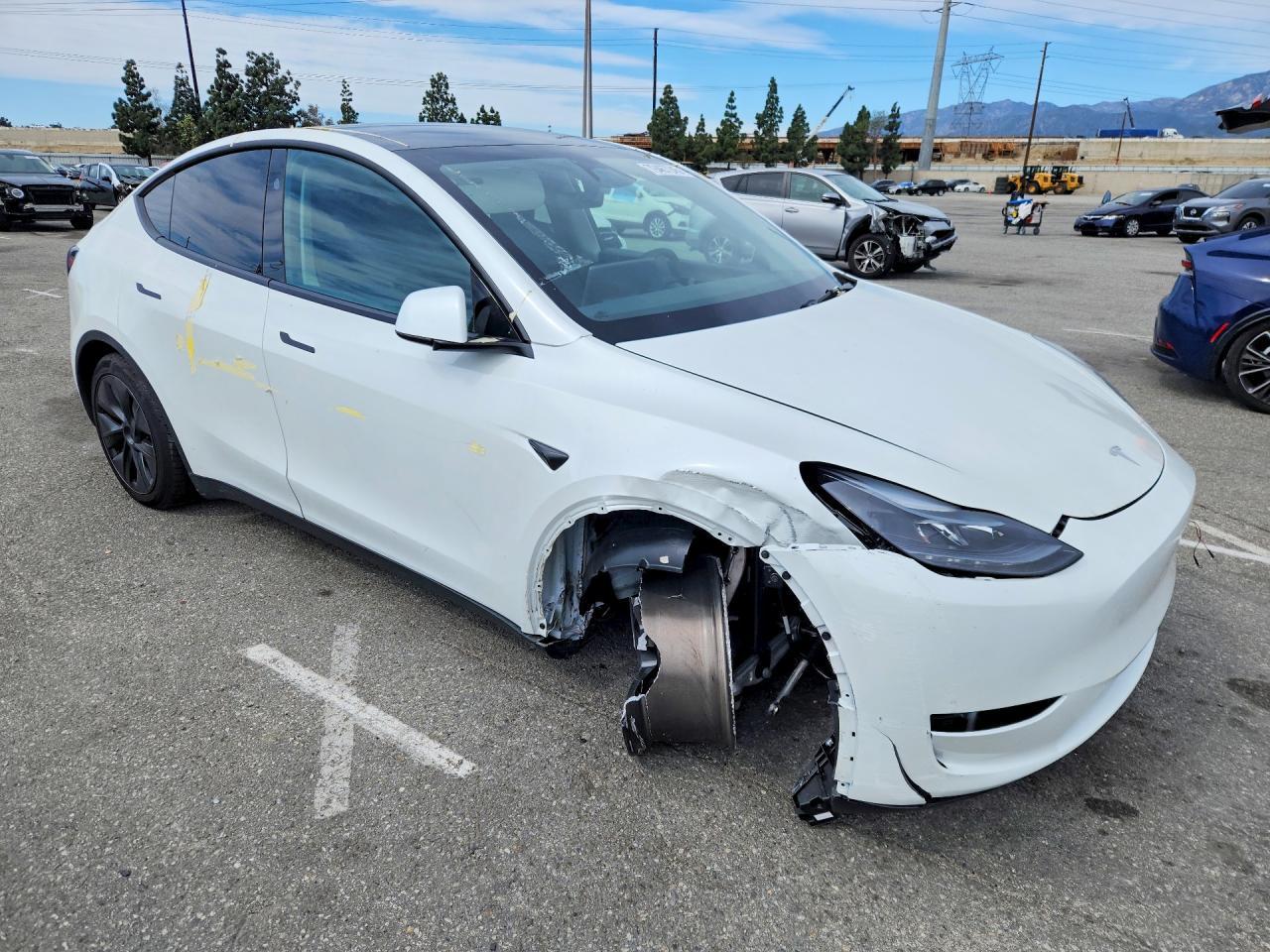 2025 TESLA MODEL Y