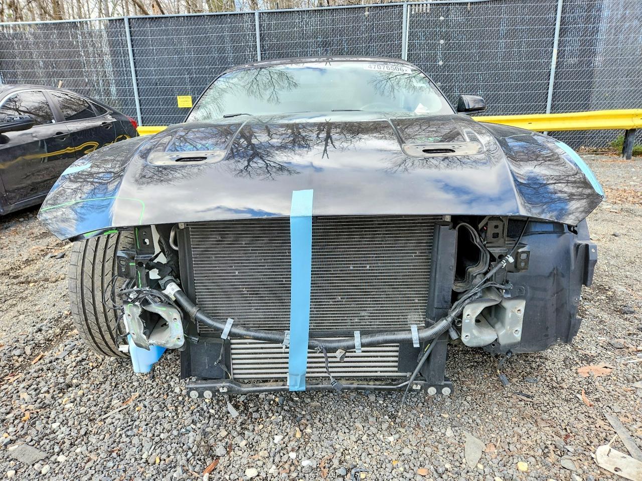 2019 FORD MUSTANG