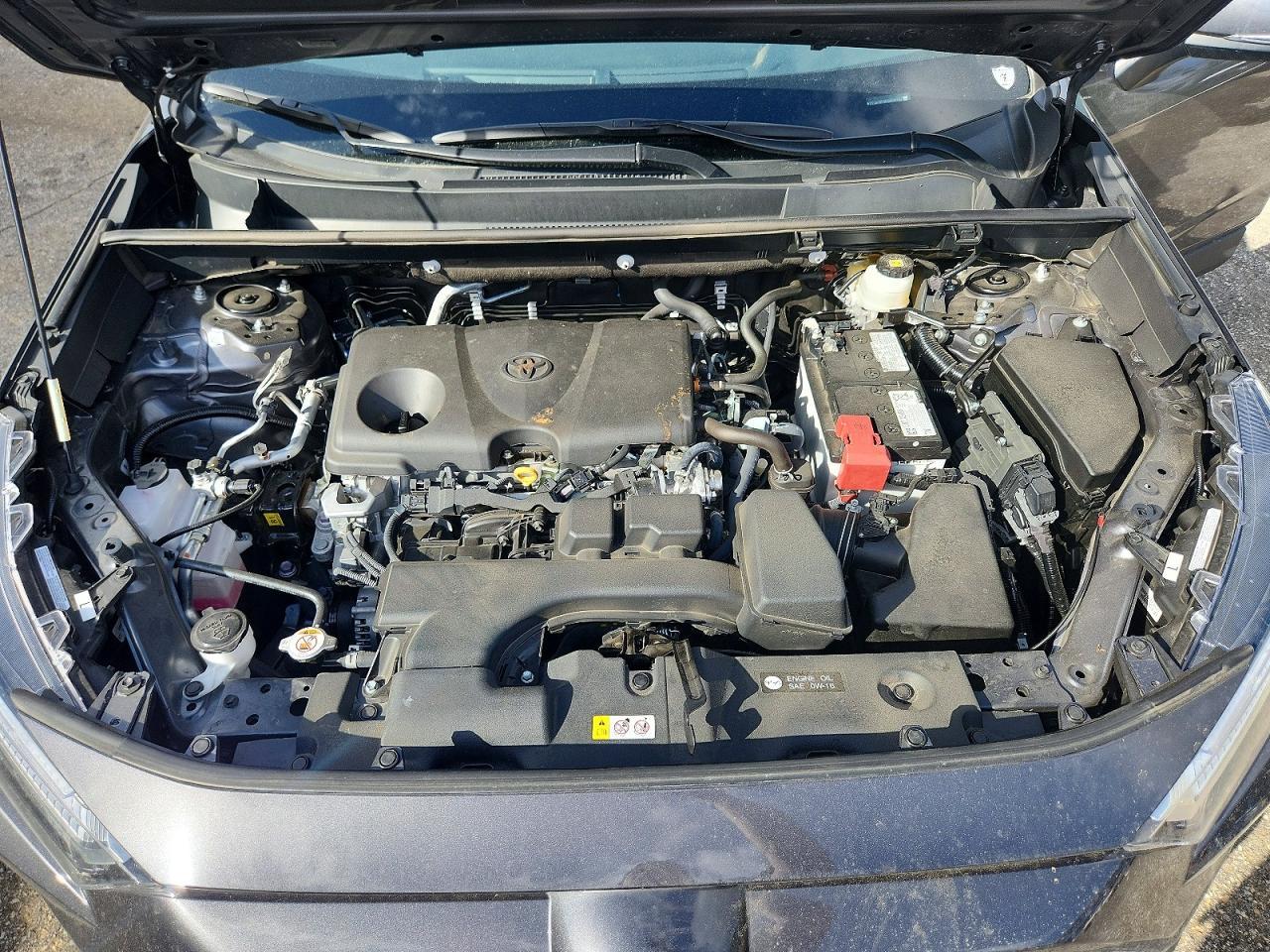 2025 TOYOTA RAV4