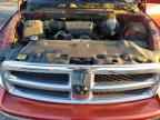 2009 DODGE RAM 1500