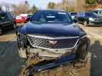 2025 CADILLAC XT4