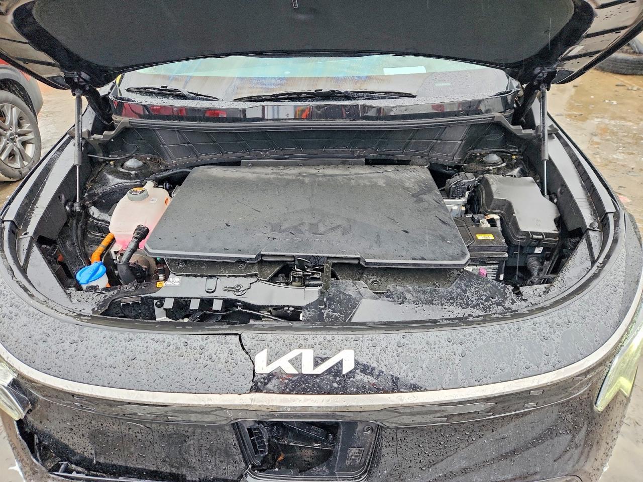 2024 KIA Niro