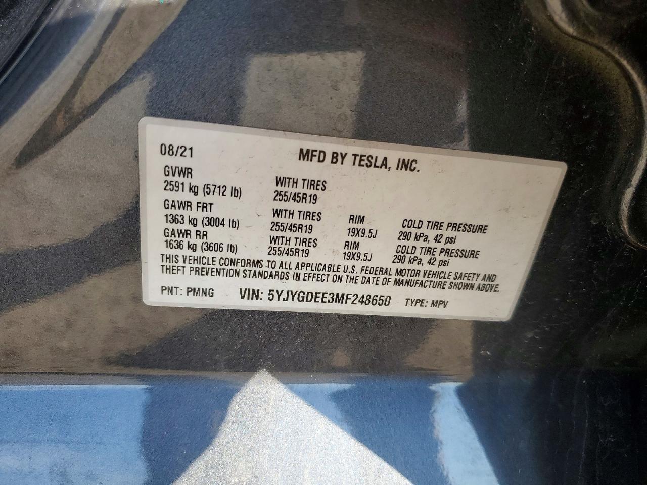 2021 TESLA MODEL Y