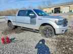2013 FORD F-150 Lightning