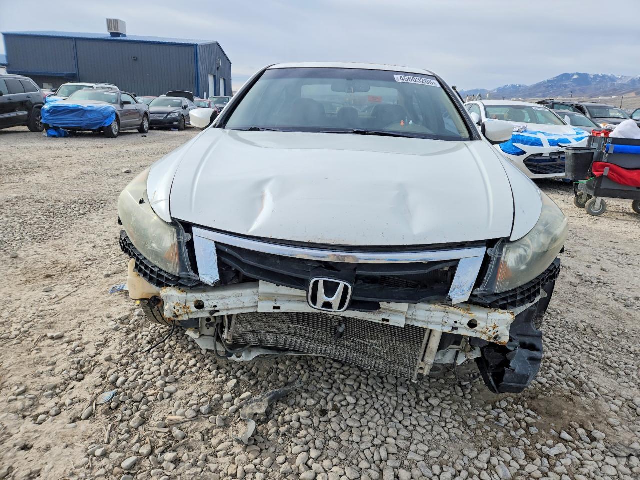 2008 HONDA ACCORD