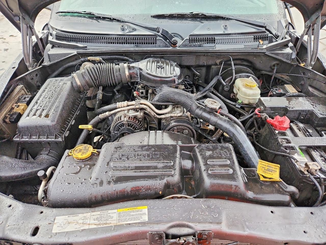 2003 DODGE Dakota