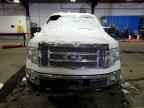 2010 FORD F-150 Lightning