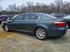2009 LEXUS LS 460
