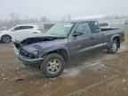 2002 DODGE Dakota