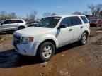 2010 FORD ESCAPE