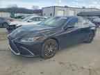 2024 LEXUS ES 300H