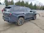 2025 TOYOTA 4Runner