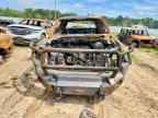 2013 FORD F-150 Lightning