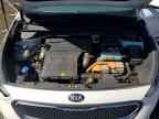 2019 KIA Niro