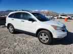 2010 HONDA CR-V
