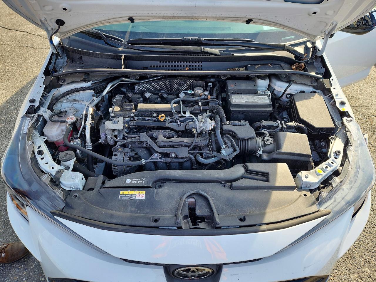 2024 TOYOTA COROLLA