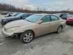 2006 LEXUS ES 330