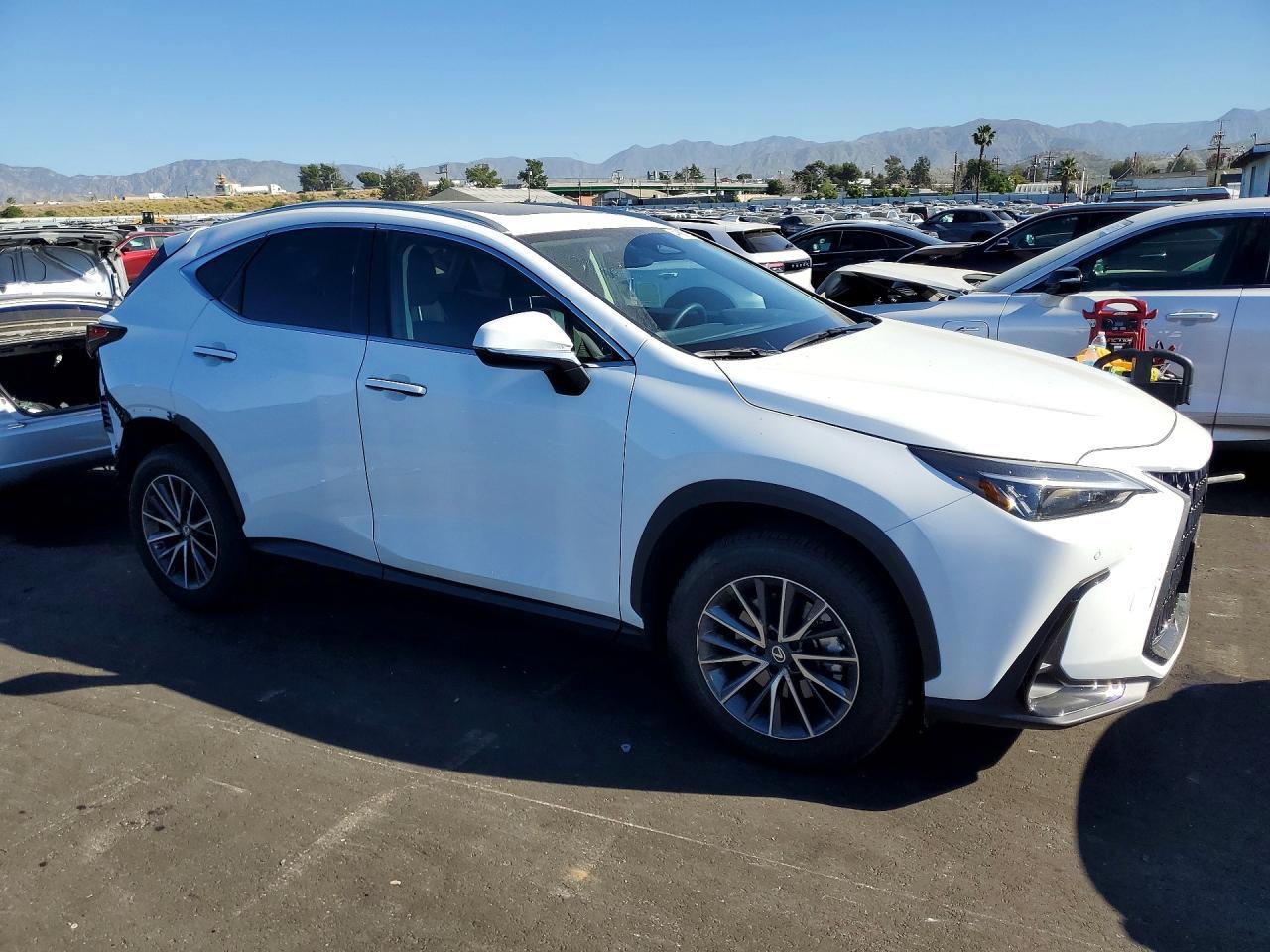 2026 LEXUS NX 350