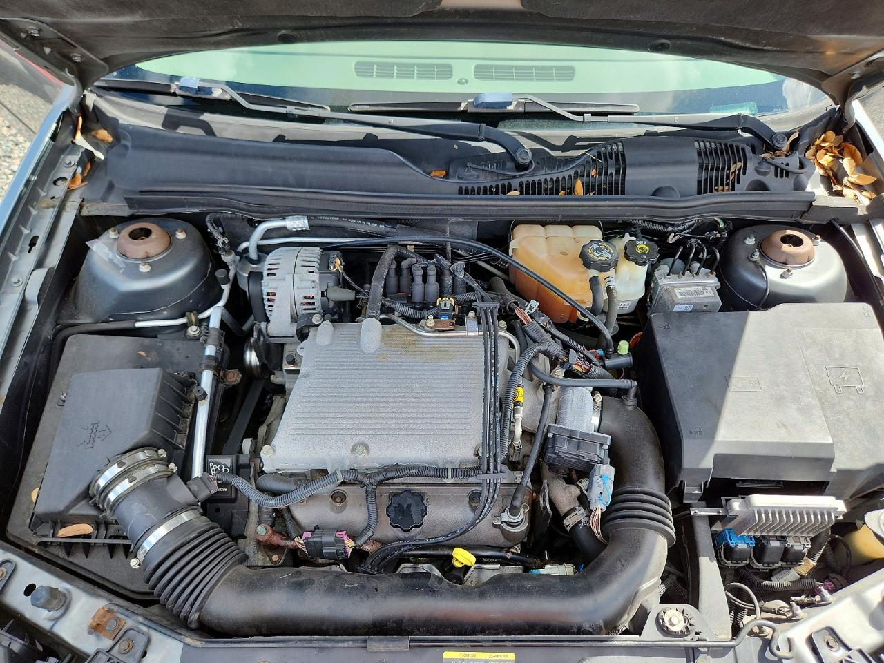 2005 CHEVROLET MALIBU