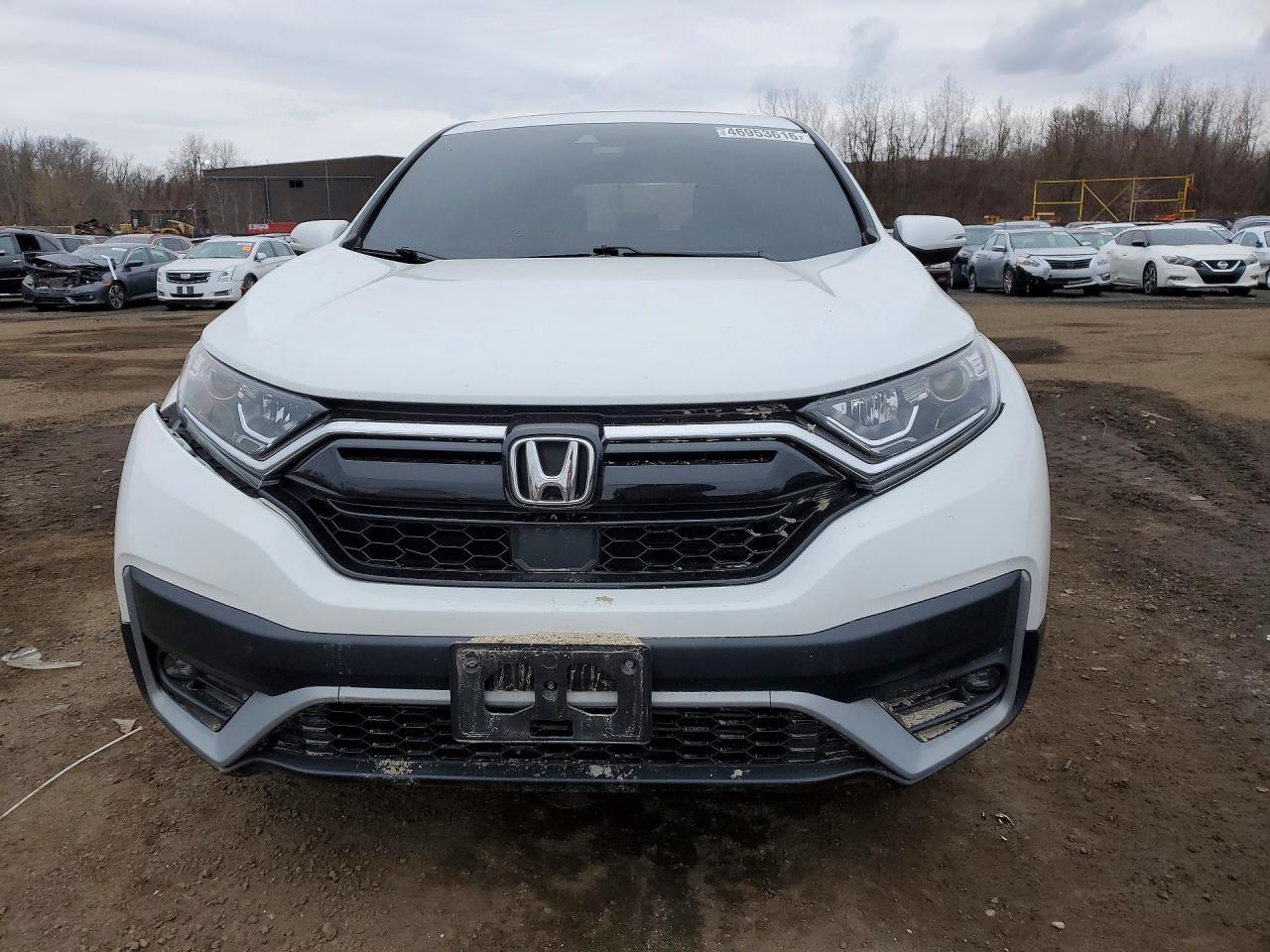 2022 HONDA CR-V