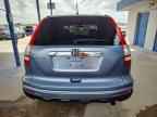 2010 HONDA CR-V