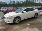 2012 NISSAN Maxima