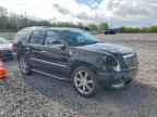 2009 CADILLAC ESCALADE
