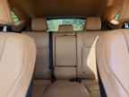 2024 LEXUS NX 250