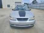 1999 FORD MUSTANG