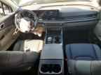 2026 KIA Carnival