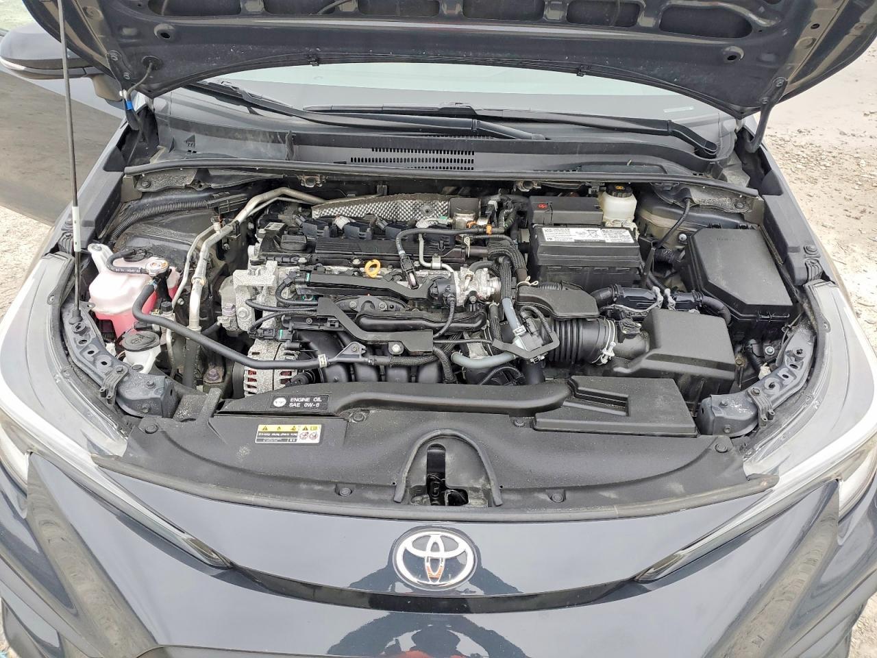 2024 TOYOTA COROLLA